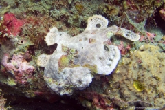 2015_Indonesia_Bali_31