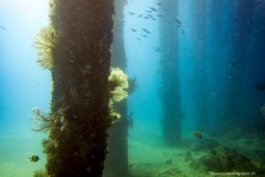 2015_Indonesia_Bali_32