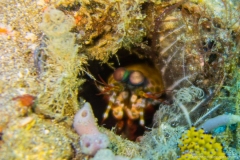 2015_Indonesia_Bali_33