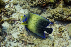 2015_Indonesia_Bali_5