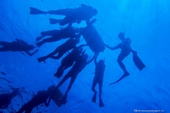 2015_Palau_diving_w_1