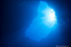 2015_Palau_diving_w_14