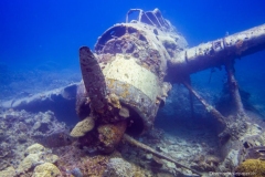 2015_Palau_diving_w_20