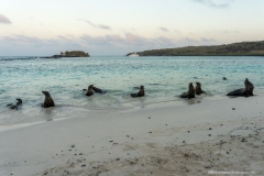 DSC00529_b