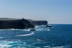 DSC00770_b