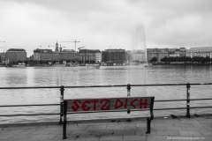 DSC00839_b