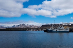 DSC00184_b