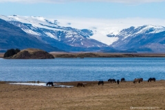 DSC00304_b