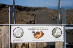 DSC00662_b