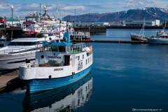 DSC00675_b
