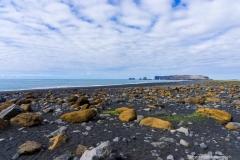 DSC01576_b