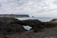 DSC01591_b