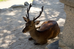 DSC02091_b-2