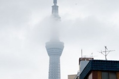 DSC02499_b-2