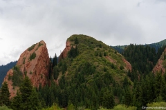 DSC03743_b