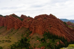 DSC03757_b