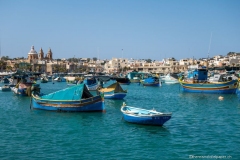 DSC01158_b