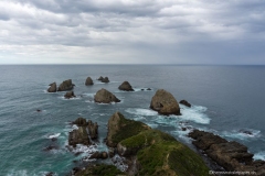 DSC04737_b