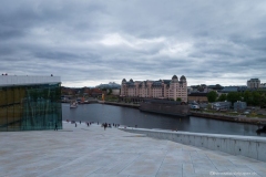 DSC00699_b