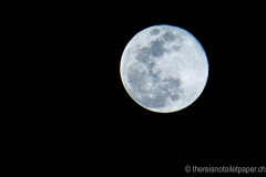 DSC02985_b