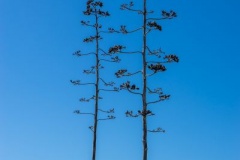 2016_Portugal_10