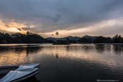 DSC00181_b