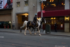 DSC09415_b
