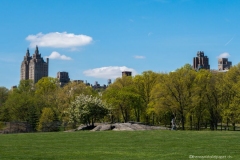 DSC09562_b